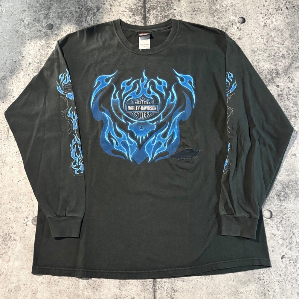 Y2K Harley-Davidson Mens Long Sleeve T-Shirt Black Blue Flames Skull Eagle Texas